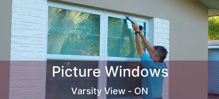  Picture Windows Varsity View - ON