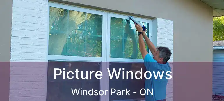  Picture Windows Windsor Park - ON