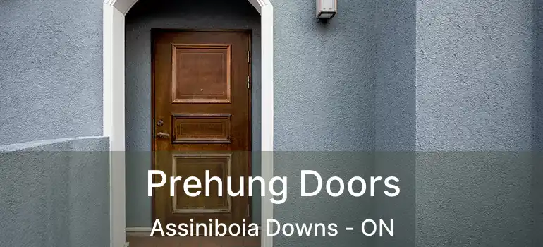  Prehung Doors Assiniboia Downs - ON