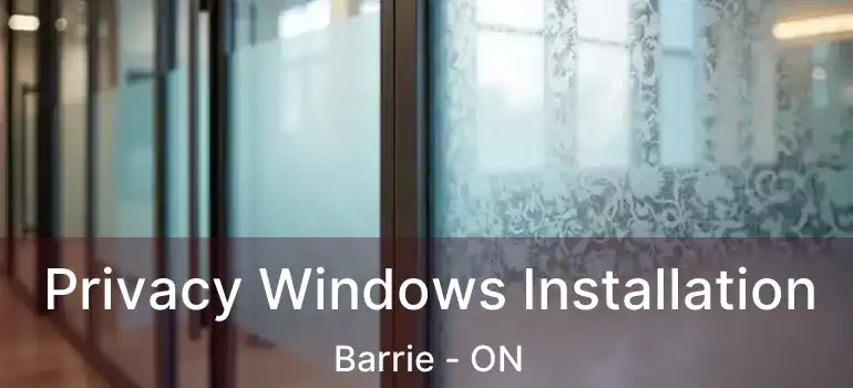  Privacy Windows Installation Barrie - ON