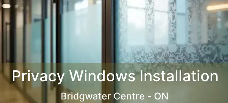  Privacy Windows Installation Bridgwater Centre - ON