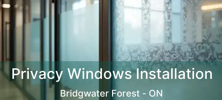  Privacy Windows Installation Bridgwater Forest - ON