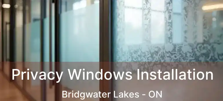  Privacy Windows Installation Bridgwater Lakes - ON