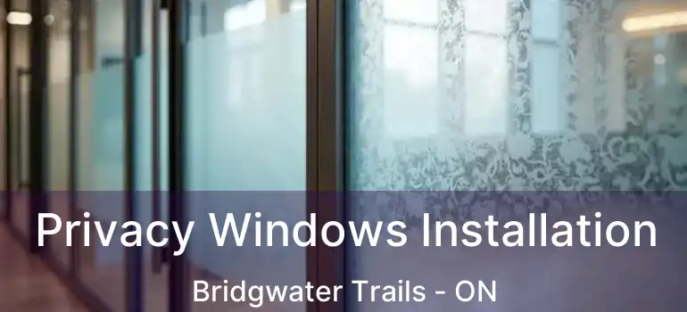  Privacy Windows Installation Bridgwater Trails - ON