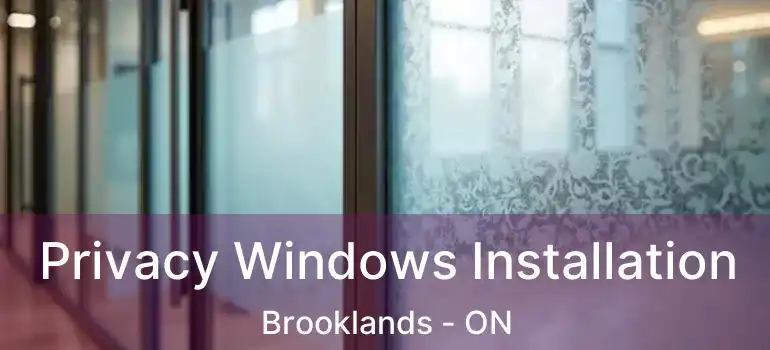  Privacy Windows Installation Brooklands - ON
