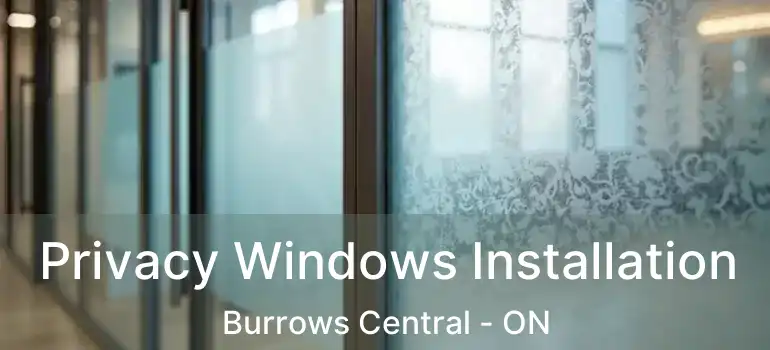  Privacy Windows Installation Burrows Central - ON
