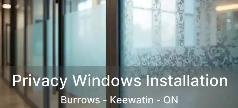  Privacy Windows Installation Burrows - Keewatin - ON