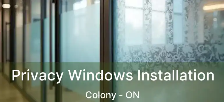  Privacy Windows Installation Colony - ON