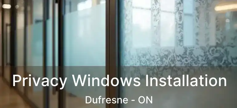  Privacy Windows Installation Dufresne - ON