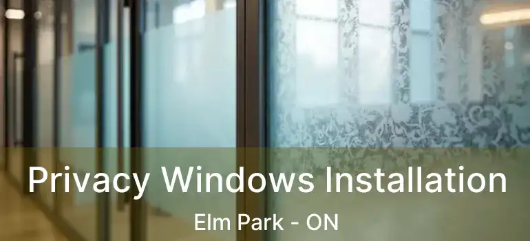  Privacy Windows Installation Elm Park - ON