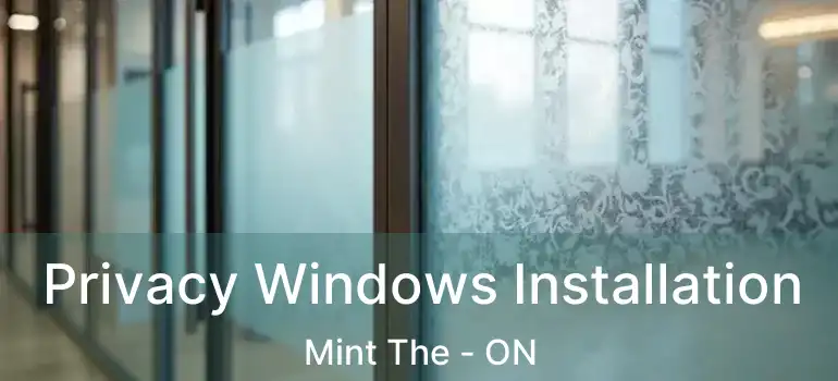  Privacy Windows Installation Mint The - ON