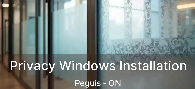  Privacy Windows Installation Peguis - ON