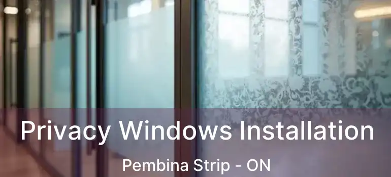  Privacy Windows Installation Pembina Strip - ON