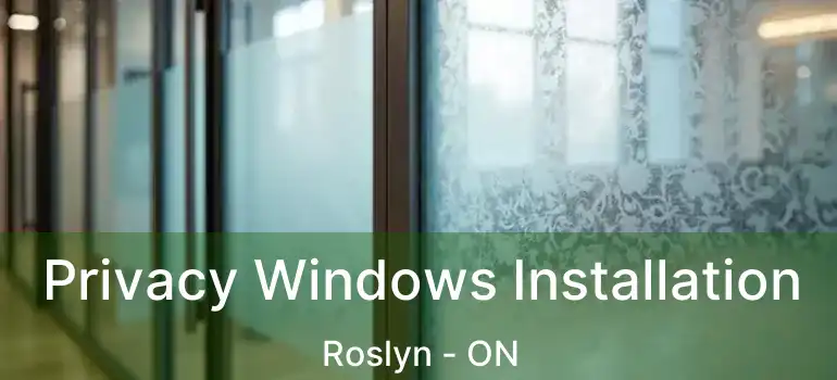  Privacy Windows Installation Roslyn - ON