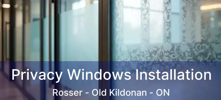  Privacy Windows Installation Rosser - Old Kildonan - ON