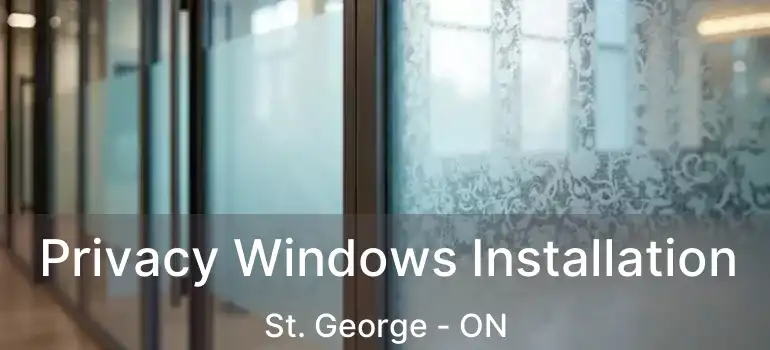  Privacy Windows Installation St. George - ON