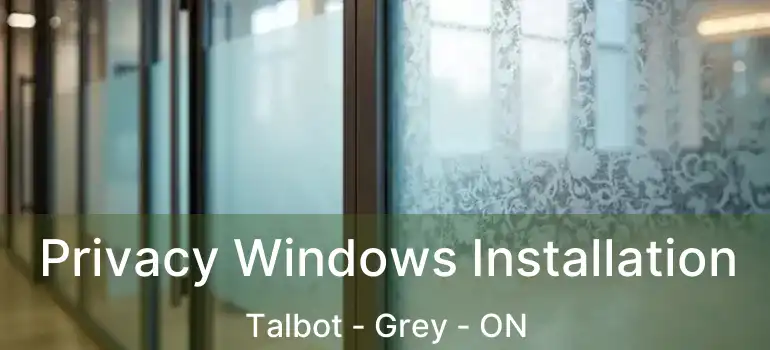  Privacy Windows Installation Talbot - Grey - ON
