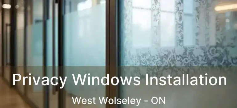  Privacy Windows Installation West Wolseley - ON