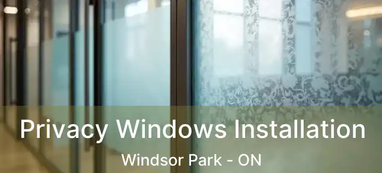  Privacy Windows Installation Windsor Park - ON
