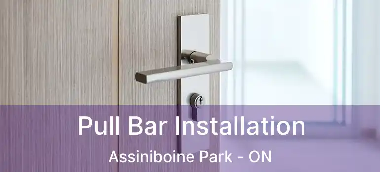  Pull Bar Installation Assiniboine Park - ON