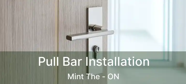  Pull Bar Installation Mint The - ON