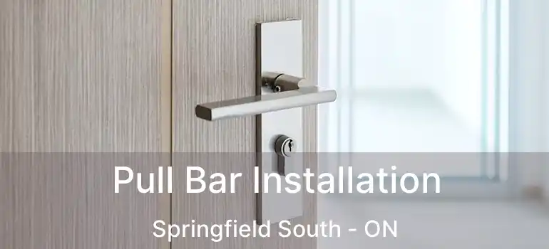  Pull Bar Installation Springfield South - ON
