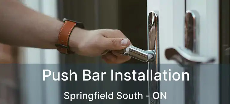  Push Bar Installation Springfield South - ON