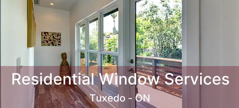  Residential Window Services Tuxedo - ON