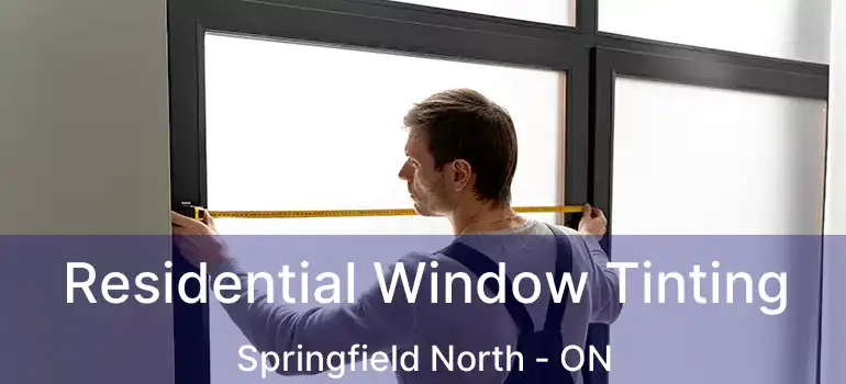  Residential Window Tinting Springfield North - ON