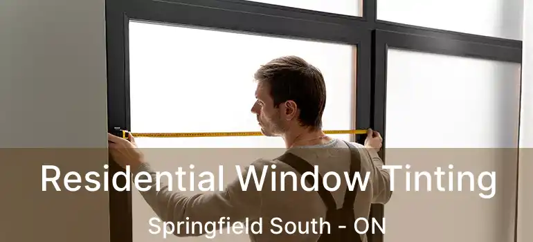  Residential Window Tinting Springfield South - ON