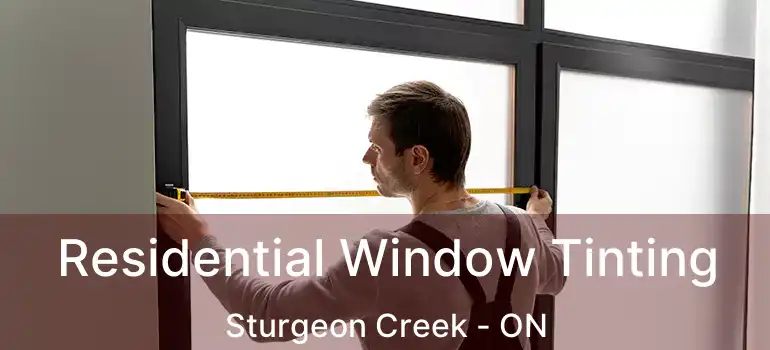  Residential Window Tinting Sturgeon Creek - ON