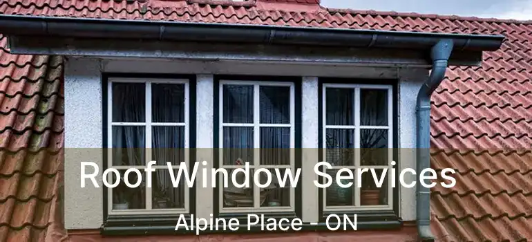  Roof Window Services Alpine Place - ON