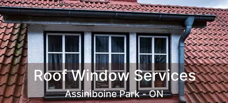  Roof Window Services Assiniboine Park - ON