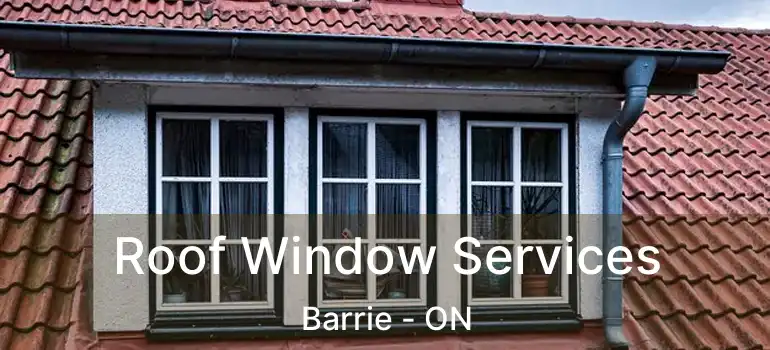 Roof Window Services Barrie - ON