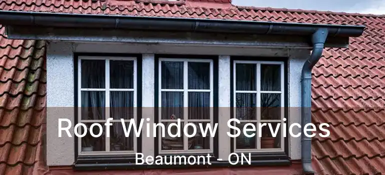  Roof Window Services Beaumont - ON