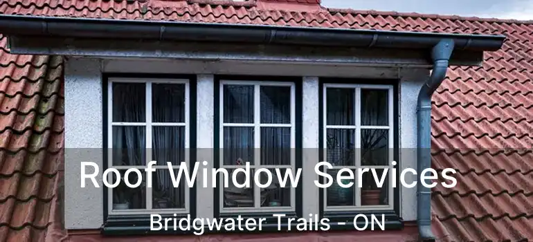  Roof Window Services Bridgwater Trails - ON