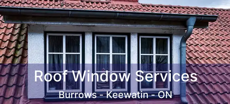  Roof Window Services Burrows - Keewatin - ON
