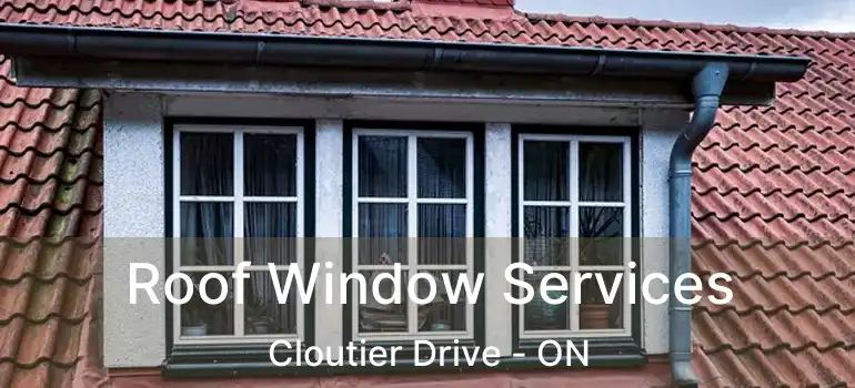  Roof Window Services Cloutier Drive - ON