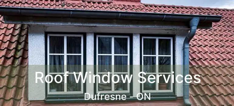  Roof Window Services Dufresne - ON