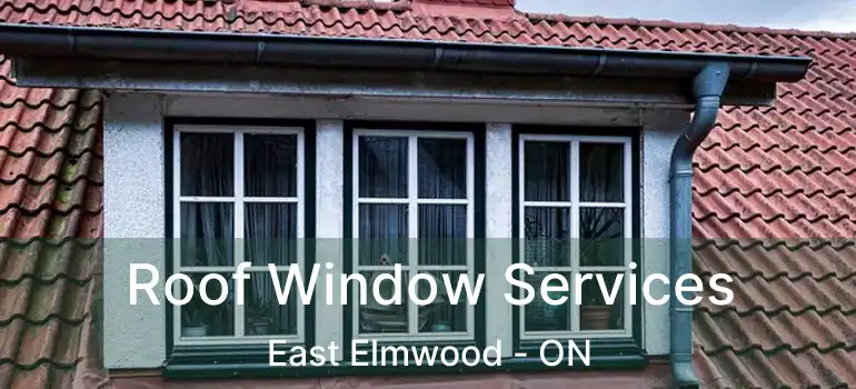  Roof Window Services East Elmwood - ON