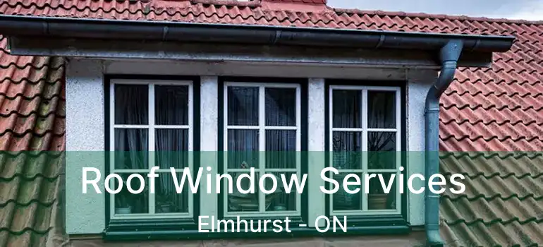  Roof Window Services Elmhurst - ON