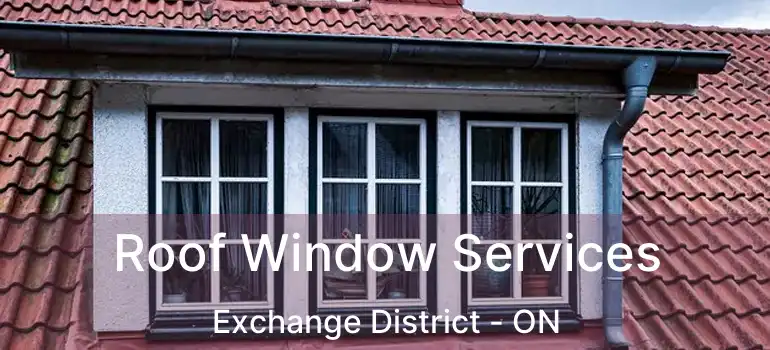  Roof Window Services Exchange District - ON