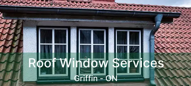  Roof Window Services Griffin - ON