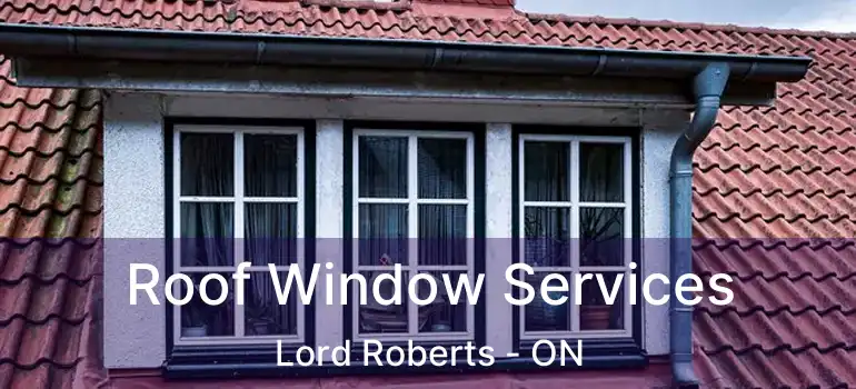  Roof Window Services Lord Roberts - ON