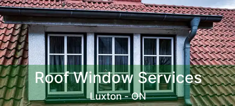  Roof Window Services Luxton - ON