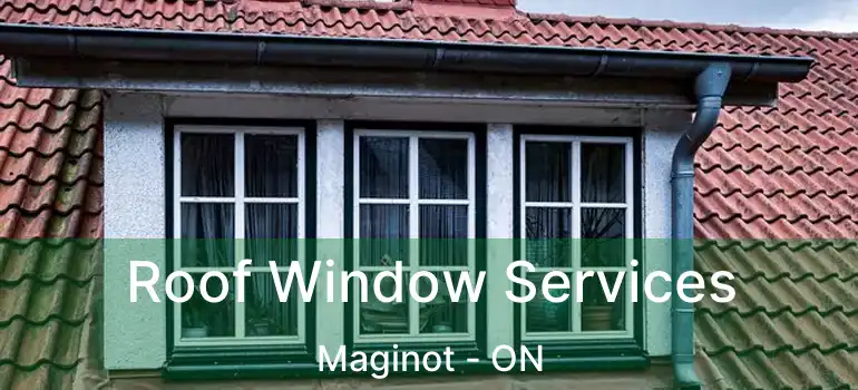  Roof Window Services Maginot - ON