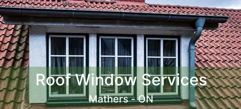  Roof Window Services Mathers - ON