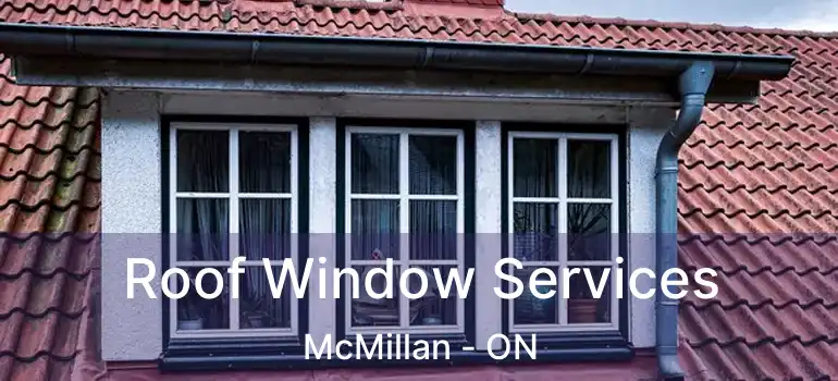  Roof Window Services McMillan - ON