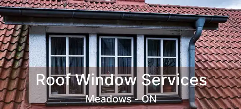  Roof Window Services Meadows - ON