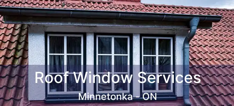  Roof Window Services Minnetonka - ON